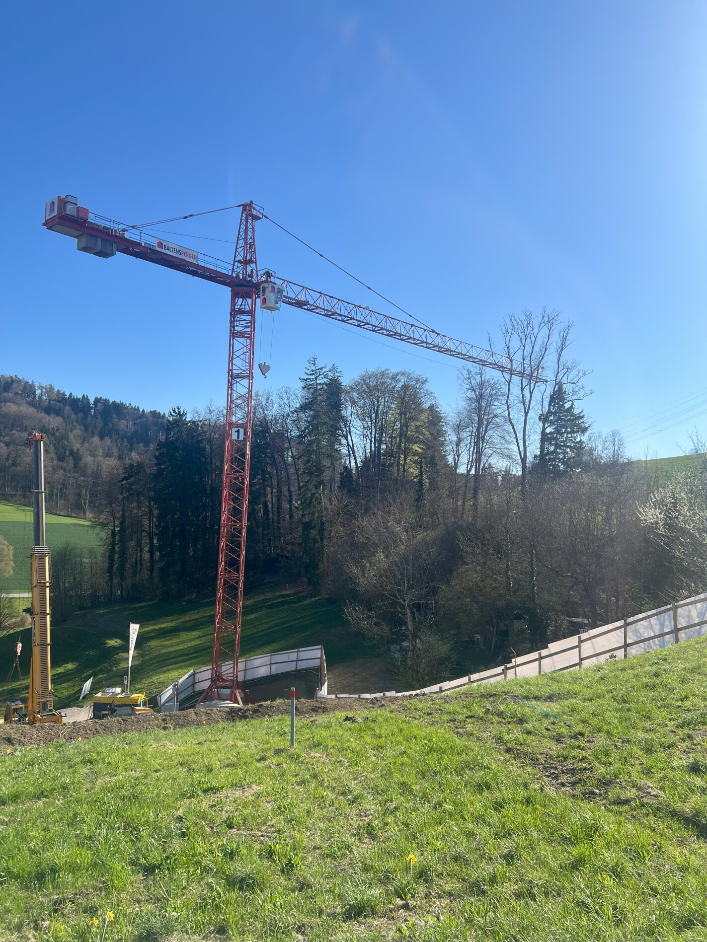 Bild des Projektes